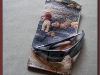 eyecase2a