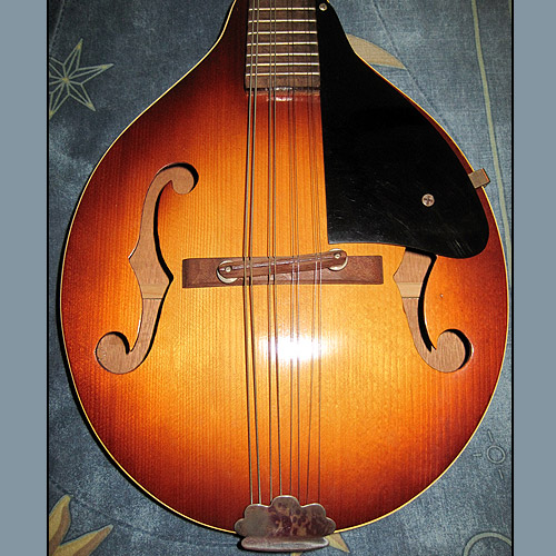 Kalamazoo Mandolin 