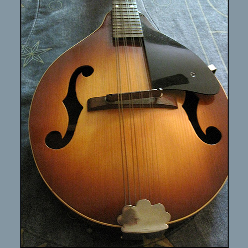 vintage mandolin kalamazoo