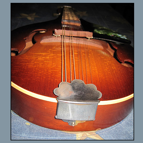 mandolin8