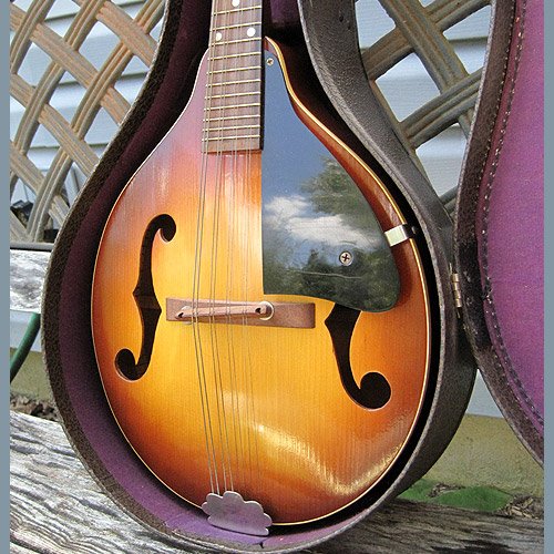 mandolin 1